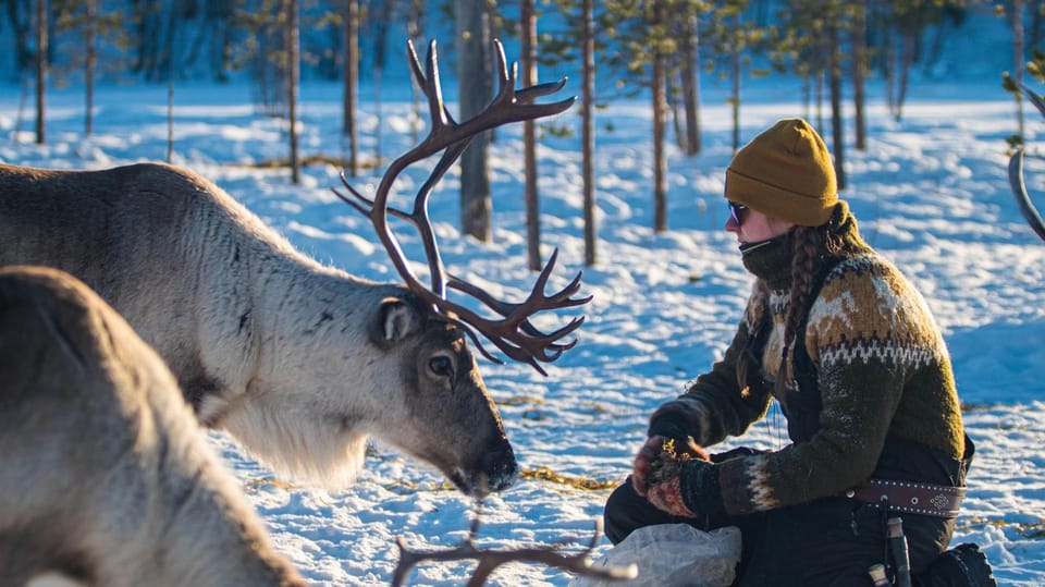 Ivalo: Magical Moments at the Reindeer Farm - Who Should Book This Tour?