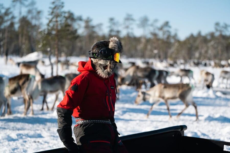 Ivalo: Reindeer Herders and Winter Fishing with Lunch - Final Thoughts