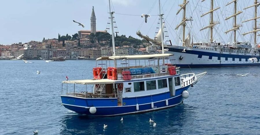 Izlet brodom iz Vrsara: Zalazak sunca i druenje s delfinima - The Experience Provider: Dora Excursions