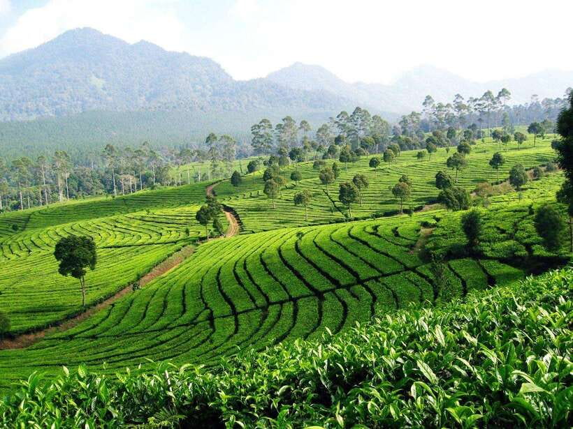 JAKARTA : JAVA TOURS TO BANDUNG/YOGYAKARTA/BROMO/IJEN - The Practicalities
