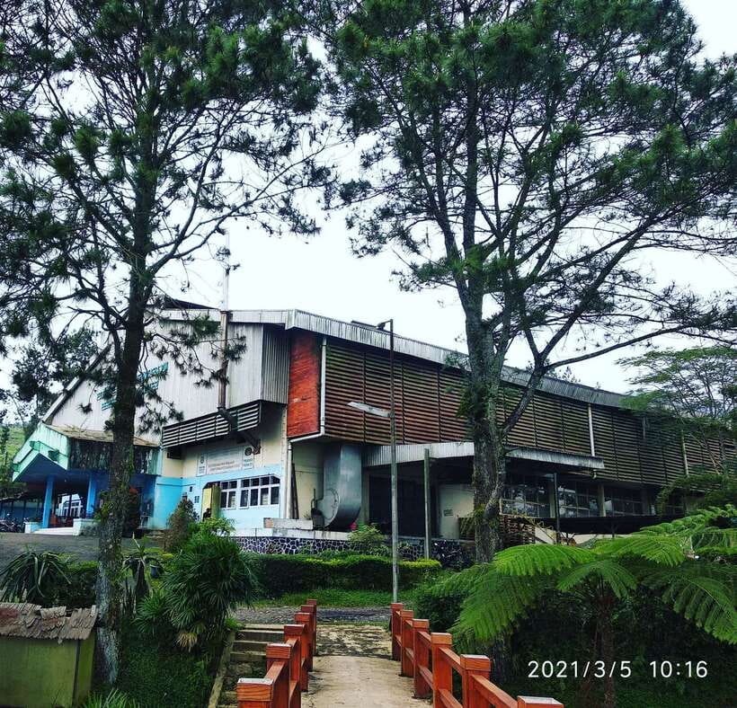 Jakarta: Volcano, Hot Spring, Tea, Rice Fields, &Coffee tour - Practical Details & Why They Matter