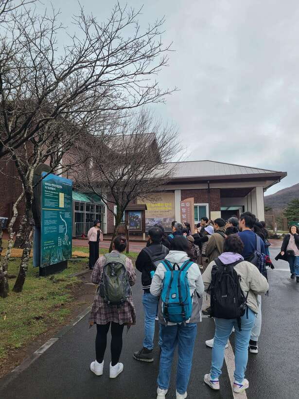 Jeju: Cherry Blossom South & West Day Tour with Hotel Pickup - The Practicalities and Logistics