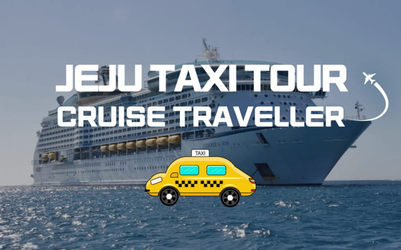 Jeju Cruise Shore Excursion Private Taxi Tour Car Charter - Who Will Love This Tour?