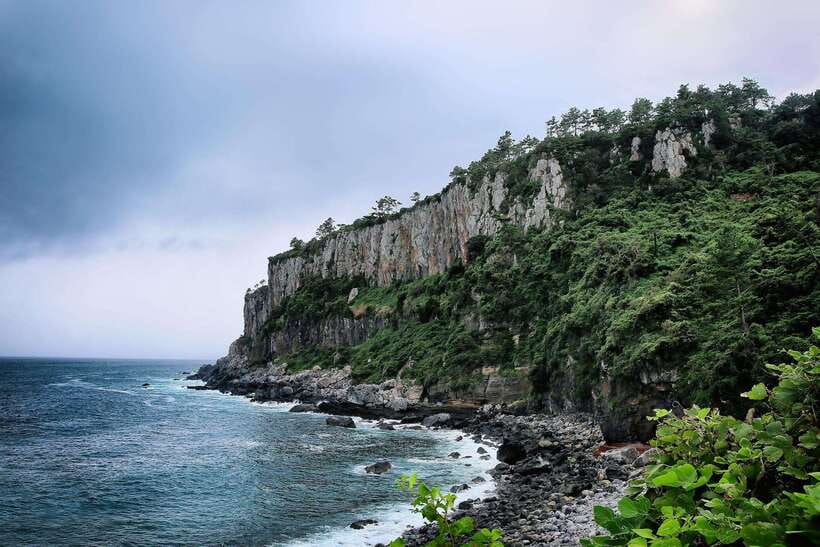 Jeju Island South Route One-day tour (optional attractions) - Who Will Love This Tour?