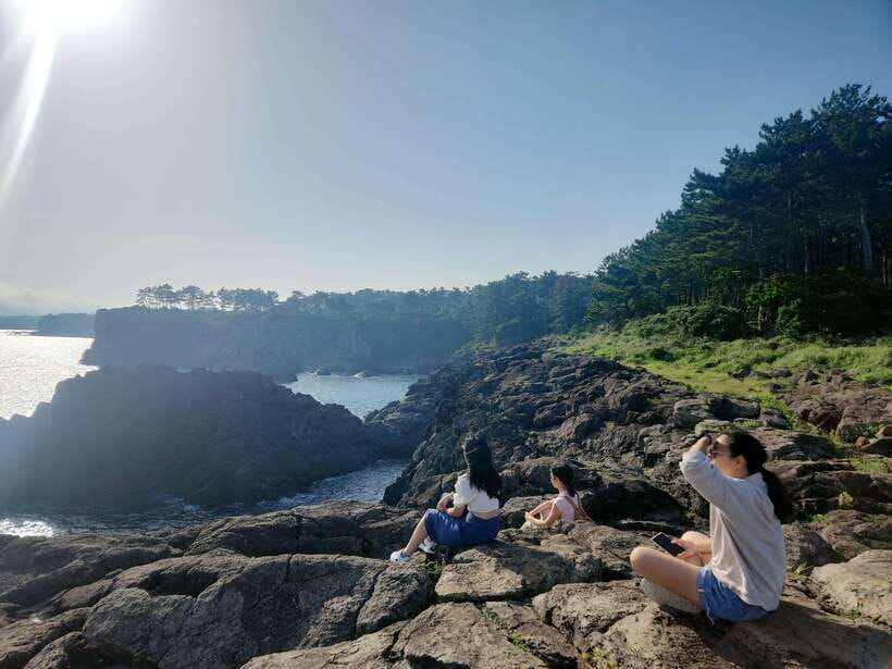 Jeju Island: Southern Top UNESCO Spots Tour - What’s Included and What’s Not
