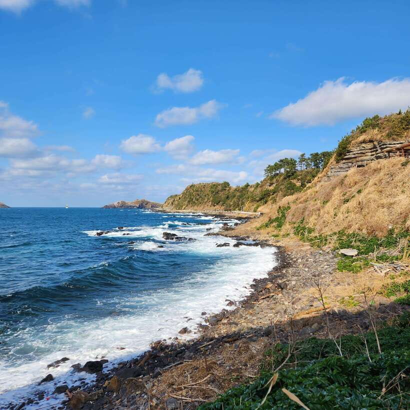 Jeju : Popular Sightseeing Private Car Charter Tour - Who Should Consider This Tour?  