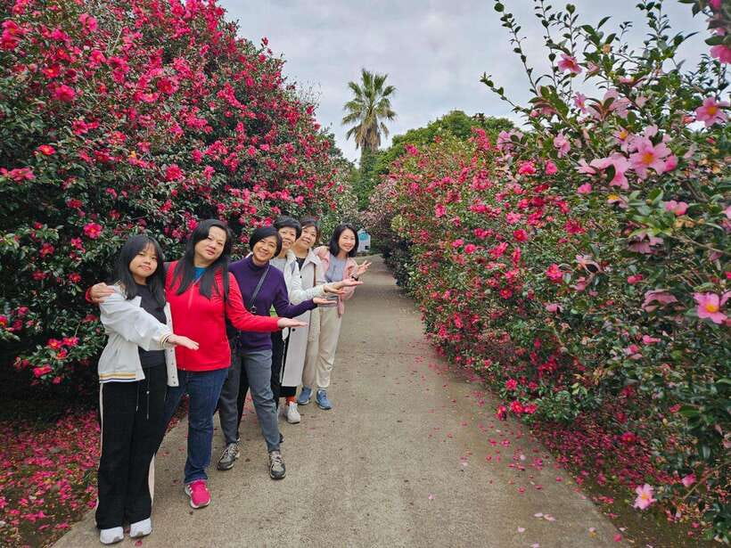 Jeju Unesco Customize Private Guided Tour with a Local Guide - Who Should Consider This Tour?