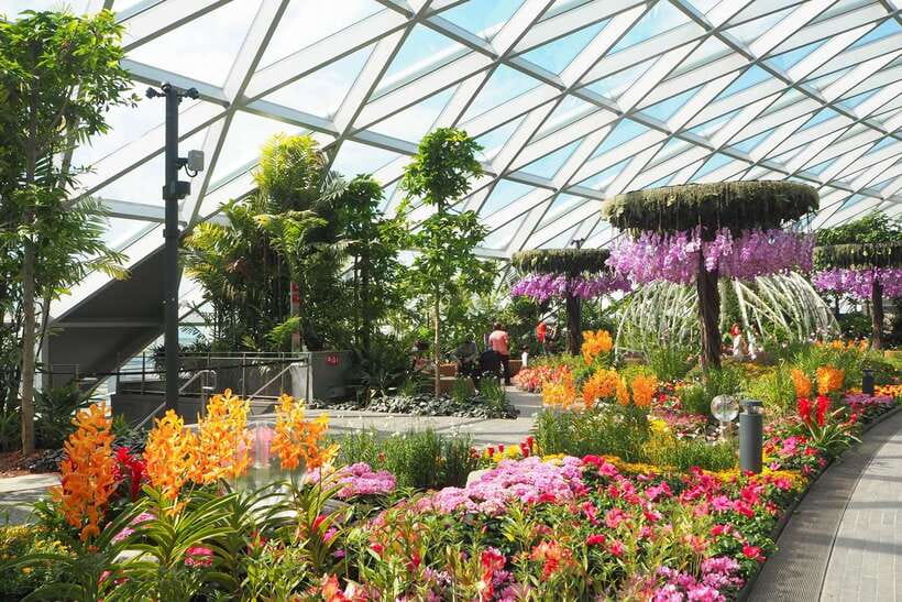 Jewel Changi Airport: Hedge Maze and Canopy Park Ticket - What to Expect: The Itinerary in Detail