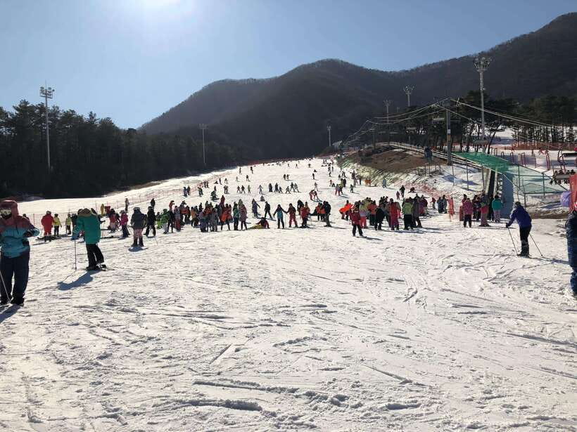 Jisan Forest Ski Resort One Day Tour - An Authentic Korean Winter Experience