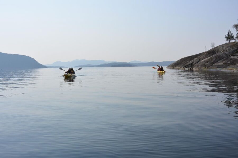 Jørpeland: Guided fjordtour kayak - Why This Tour Offers Excellent Value