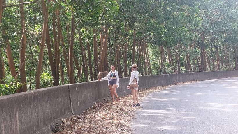 Kampot: Bokor Mountain tour by the experienced guide - The Itinerary in Detail