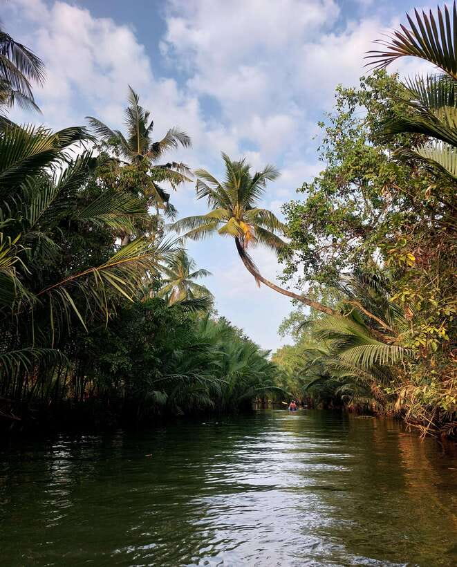 Kampot: Countryside, Pepper Farm and Kayak Tour with Lunch - What Do Travelers Say?