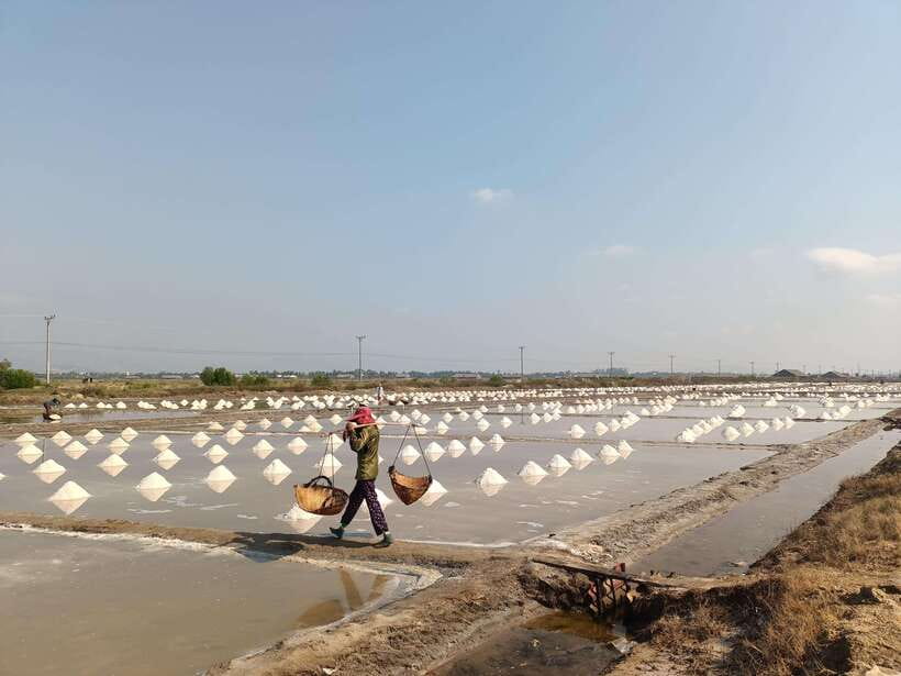 Kampot Countryside tour include Pepper farm by TukTuk - A Detailed Look at the Itinerary