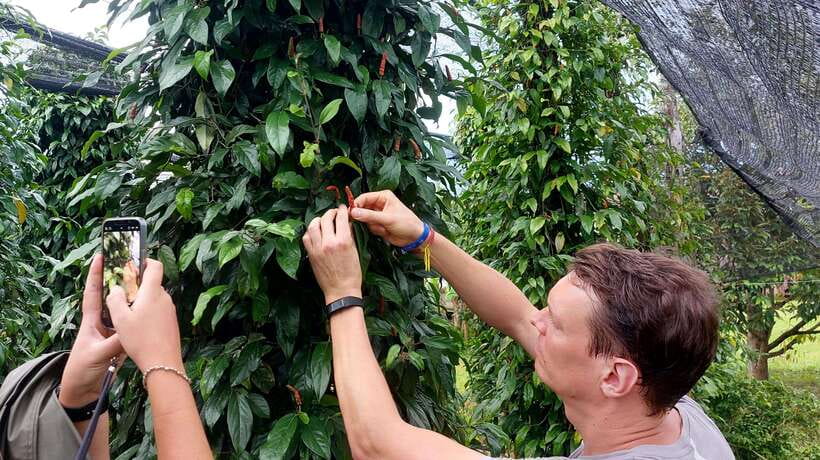 Kampot Private Tour: Pepper Farm, Salt Field & Secret Lake - Why This Tour Works Well