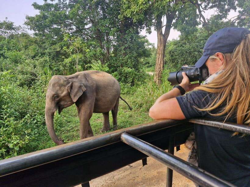 Kandy: 4-Day Sri Lanka Full Circle Private Tour To Colombo - Who Is This Tour Best Suited For?