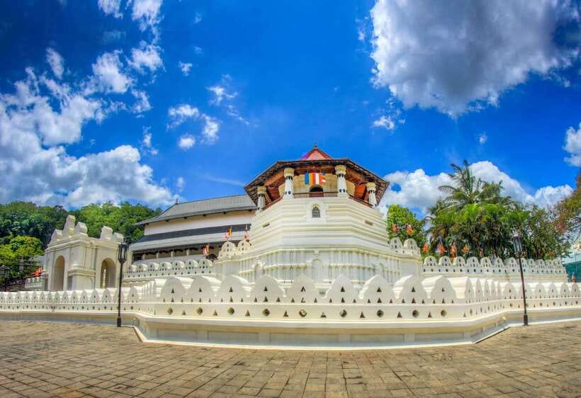 Kandy and Pinnawala: A Perfect 1-Day Tour Experience - Pinnawala Elephant Orphanage