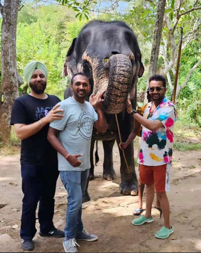 Kandy : Pinnawala Day Tour with Top Rated Local Guide - Value and Practical Tips