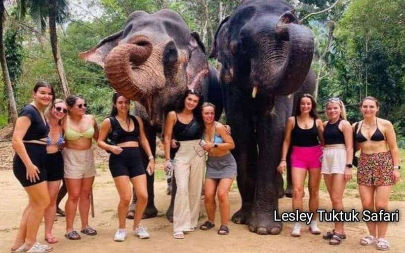 Kandy : Pinnawala Elephant Safari Tour with Kandy City Tour - Practical Details & Tips