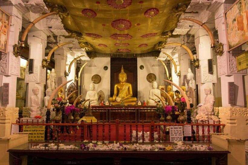 Kandy, Pinnawala & Tea Factory Full Day Tour From Colombo - How the Itinerary Works in Practice
