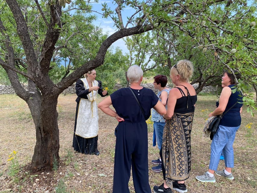 Kastela: Wine & Olive Tasting Tour w/Delicacies & Live Music - What Sets This Tour Apart?  