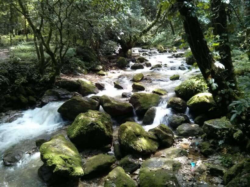 Kathmandu: 3 days Chispani Nagarkot Trek - The Practicalities: Transportation, Guides, and Cost