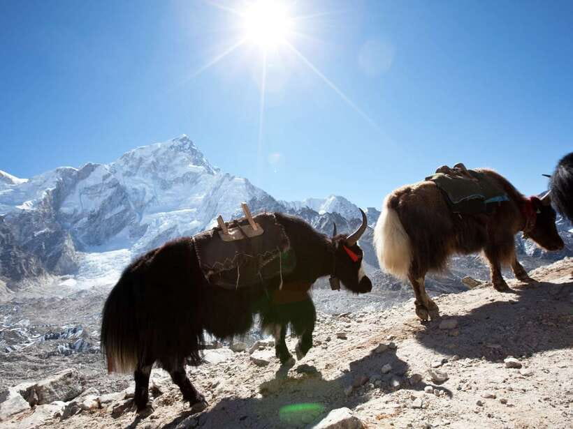 Kathmandu: 6 Days Langtang Valley Trek - Breaking Down the Itinerary: What to Expect