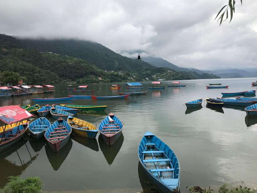 Kathmandu: 8 days Nepal tour (Kathmandu, Chitwan & Pokhara) - Deep Dive into the Itinerary