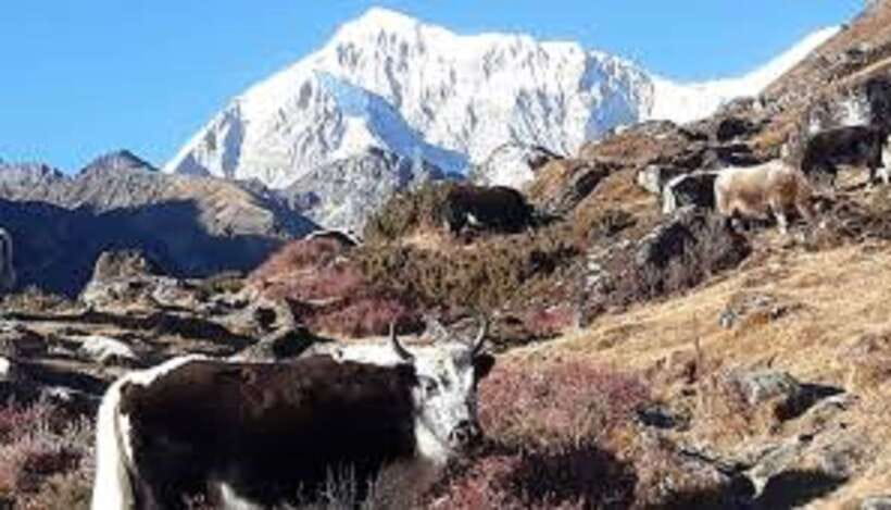 Kathmandu: 8 Night 9 Days Dudh kunda Trek - Authentic Experiences and Cultural Insights