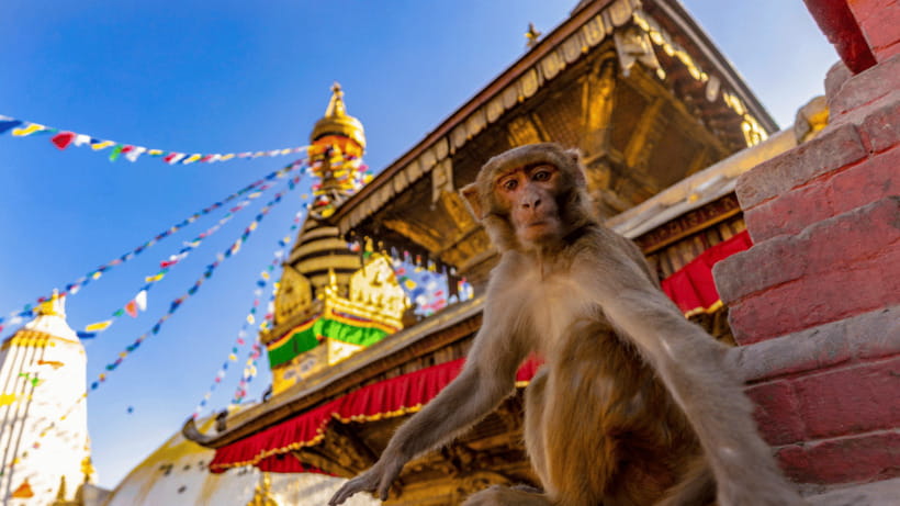 Kathmandu: Chandragiri Cable Car and Monkey Temple Tour - Practical Details and Tips