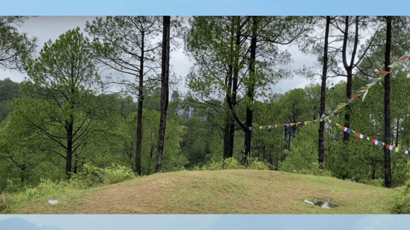 Kathmandu: Fresh air Hiking at Kapan-Jagdol-Nagi gumba - Why This Tour Is Worth Considering