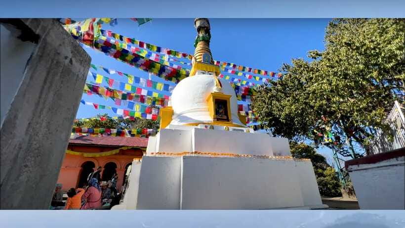 Kathmandu: Jamacho One day Nature walk with Guide - The Itinerary in Detail
