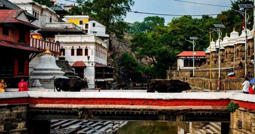 Kathmandu: Private Cultural and Heritage Day Tour - The Experience in Context