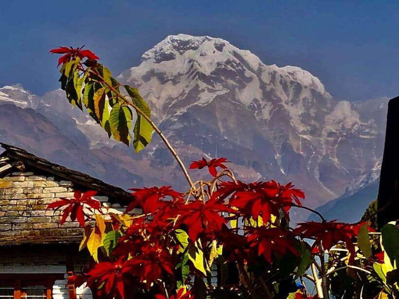 Kathmandu: Rapid Ghorepani Poon Hill Trek with Guide - What Makes This Trek Stand Out