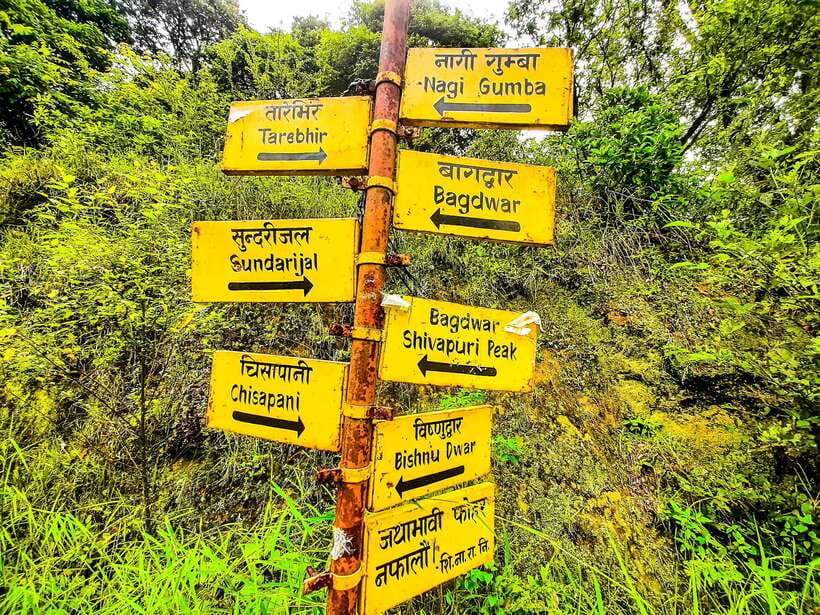 Kathmandu: Shivapuri National Park Day Hike with Lunch box - An Introduction to Shivapuri National Park Hike