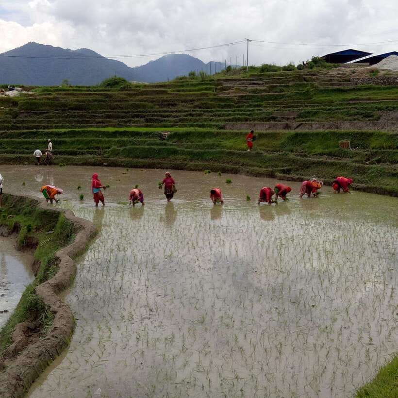 Kathmandu:7 Unesco tours, hikings, sunrise & more -All in 1 - The Experience of the Sunrise, Hiking, and Himalayan Views