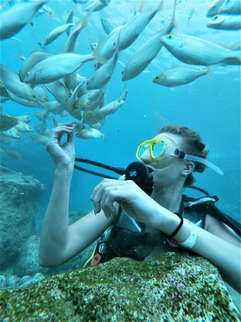 Kemer: Scuba Diving Experience in Aquarium and Kiris Bays - An In-Depth Look at the Kemer Scuba Tour