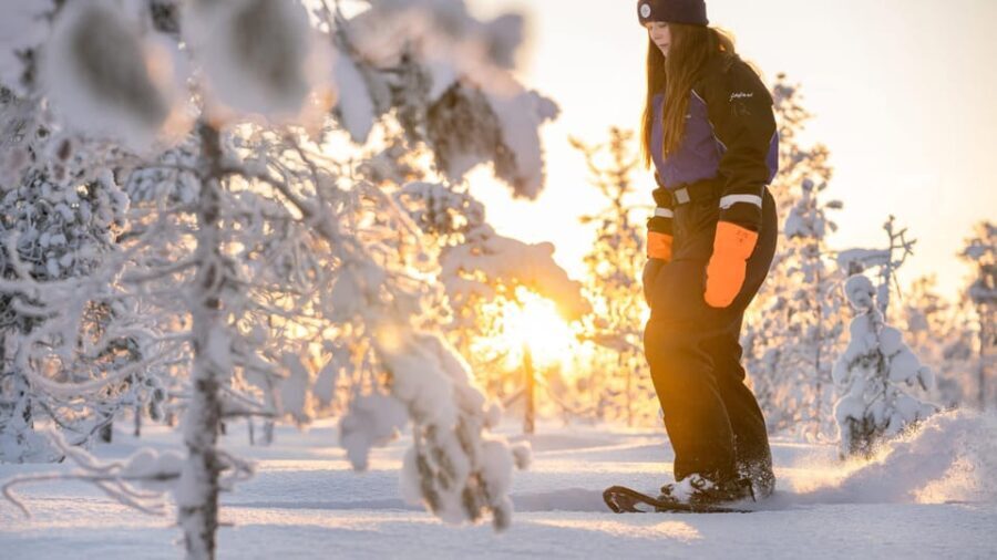 Kemi-Tornio: Nature tour with snowshoes - The Practicalities: What You Need to Know
