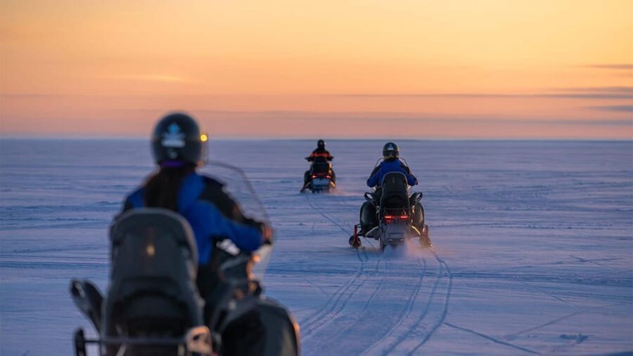 Kemi-Tornio: Snowmobile Forest Safari w/ Hot Drink & Snacks - An In-Depth Look at the Snowmobile Forest Safari Experience