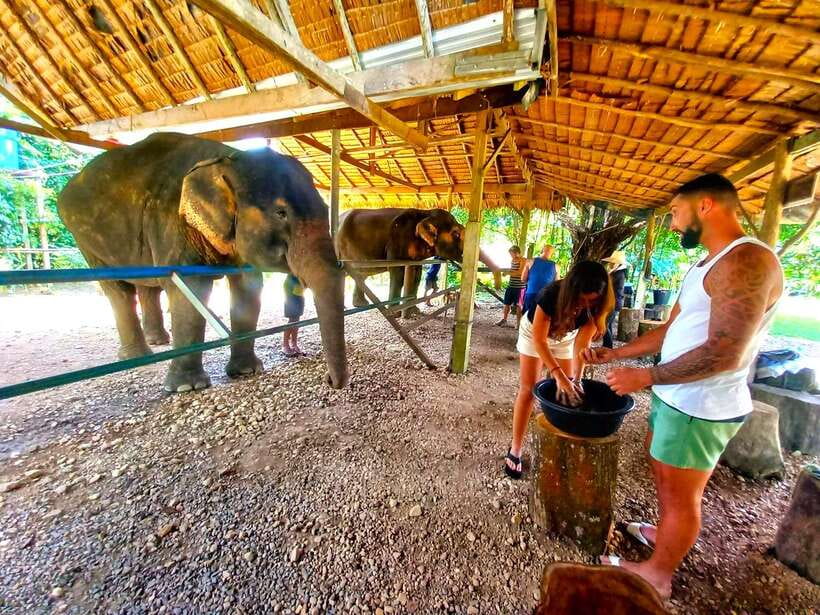 Khao Sok: Elephant Day Care, & Bamboo Rafting Day Tour - Itinerary Highlights