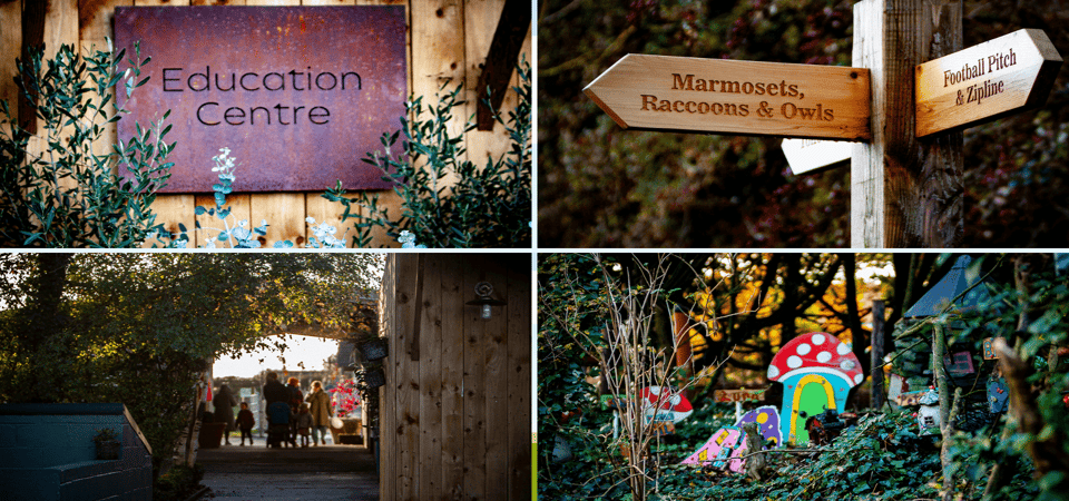 Kildare: Clonfert Farm General Admission Ticket - Key Points