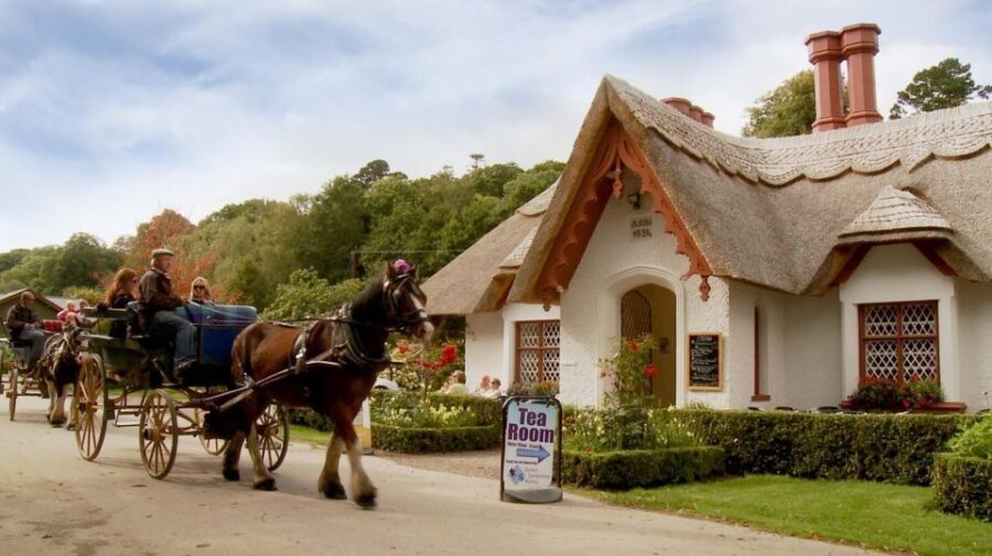 Killarney: 1-Hour Jaunting Car Horse and Carriage Tour - A Deeper Look at the Tour