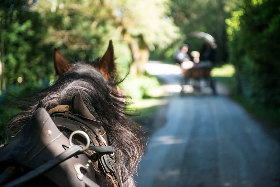 Killarney: Jaunting Car Tour with Afternoon Tea - What Makes This Tour Stand Out?