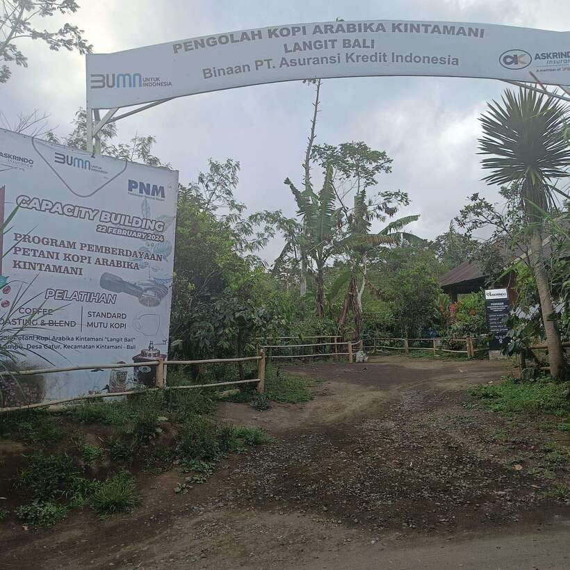 Kintamani Bali Coffee Adventure - What to Expect