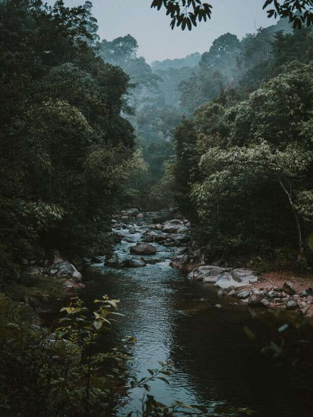 KL: Day Tour with Rafting, Fireflies, and Meals - Savoring Authentic Malaysian Flavors