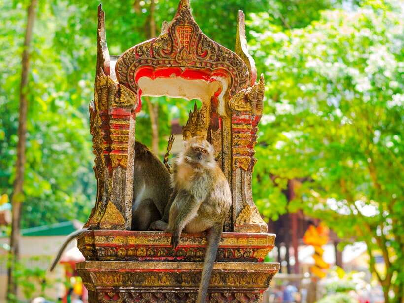 Ko Lanta: Private Tiger Cave, Hot Spring & Emerald Pool Tour - Itinerary Highlights