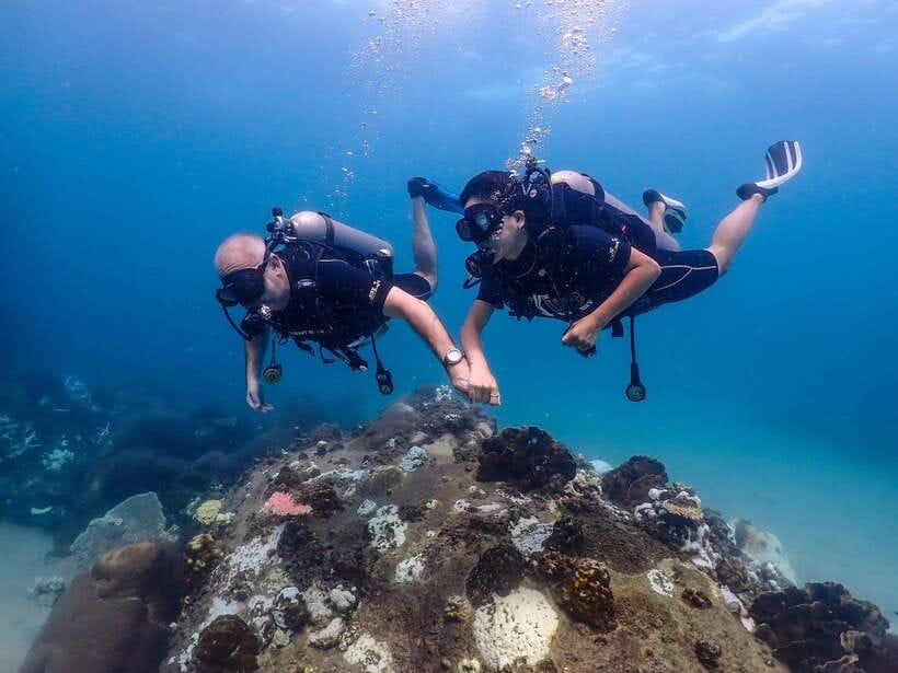 Koh Samui: Discovery Dive to Koh Tao or Sail Rock - Experience Details