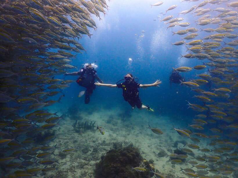Koh Samui: Dive Tour to Koh Tao - Itinerary Details
