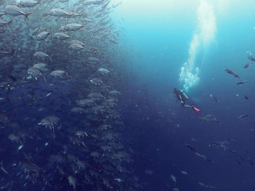 Koh Samui: Dive Tour to Sail Rock - Itinerary
