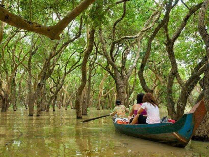 Kompong Phluk Floating village & Mangrove forest Cruise Tour - The Sum Up