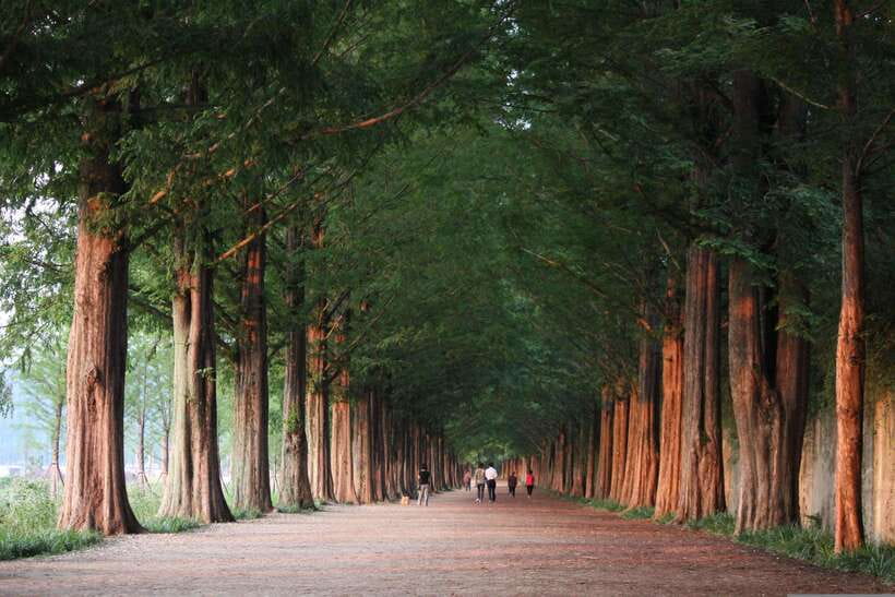 Korea: Trip and Itinerary Planning - Travel Effortlessly! - How the Itinerary Comes Together